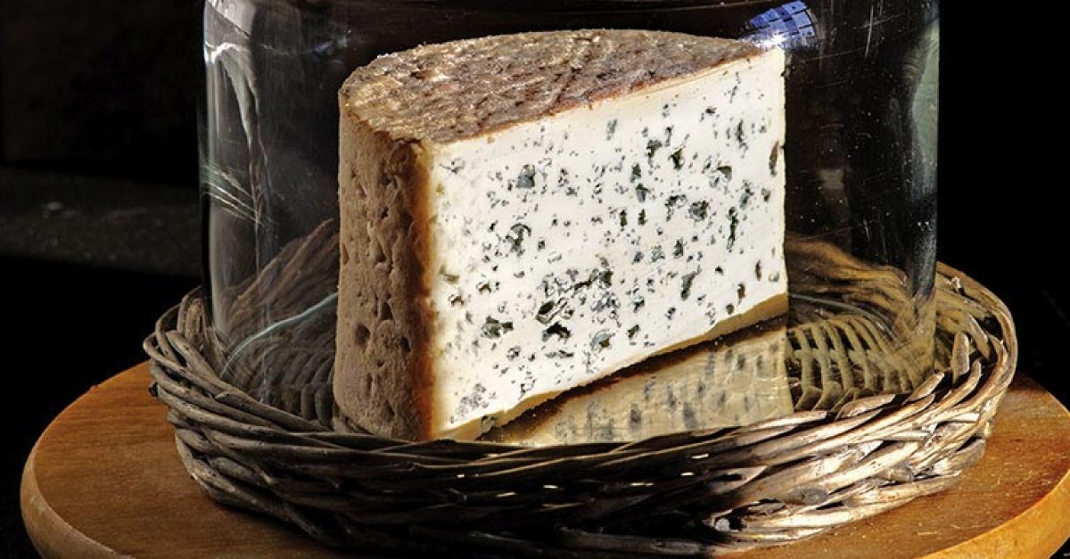 Fête du Bleu d'Auvergne 2026 : 50 ans de l'AOP à Riom-ès-Montagnes