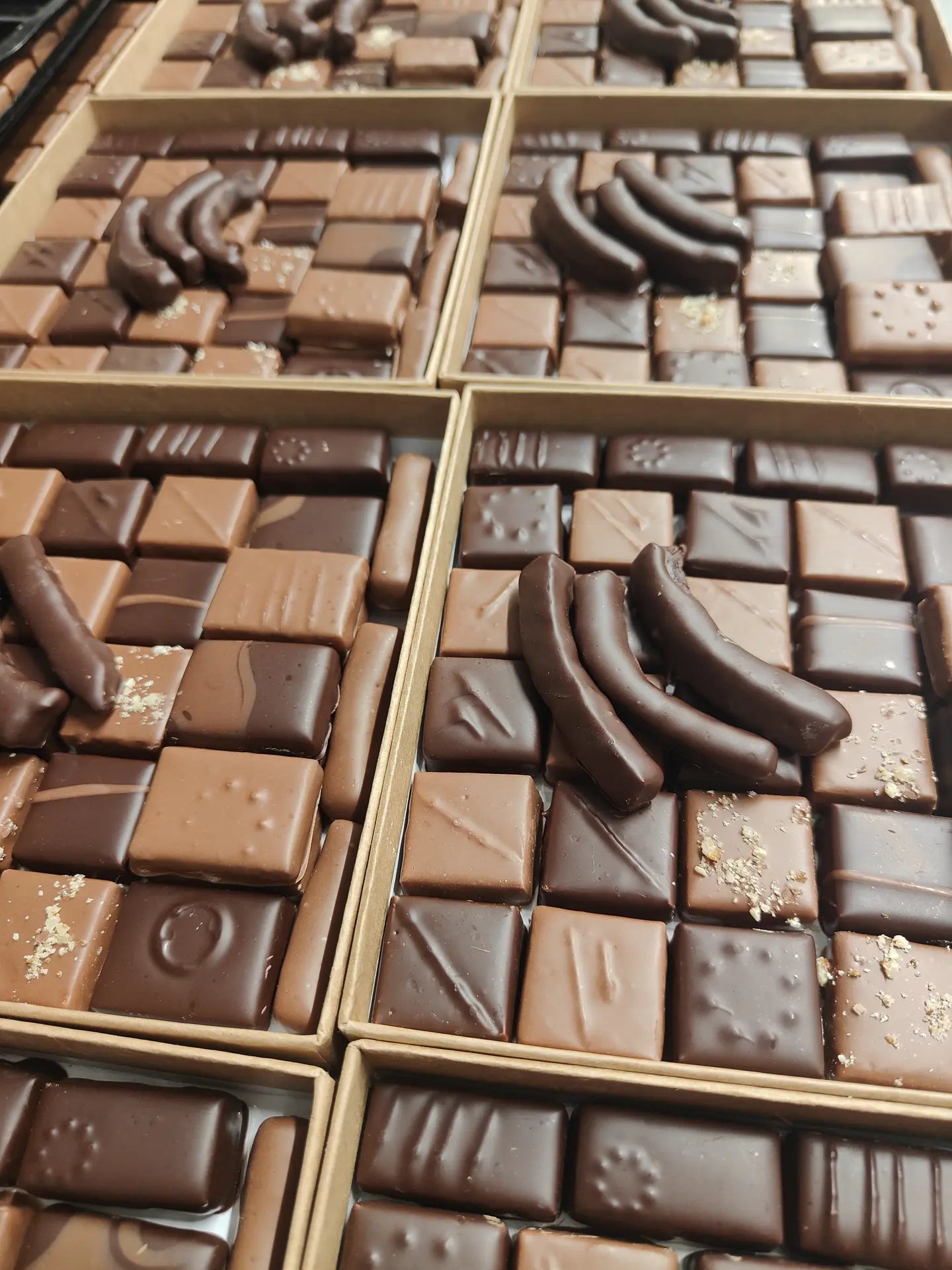 Randonnee gourmande a la rencontre d'Amandine et Chocolat, Charbonnieres-les-Varennes
