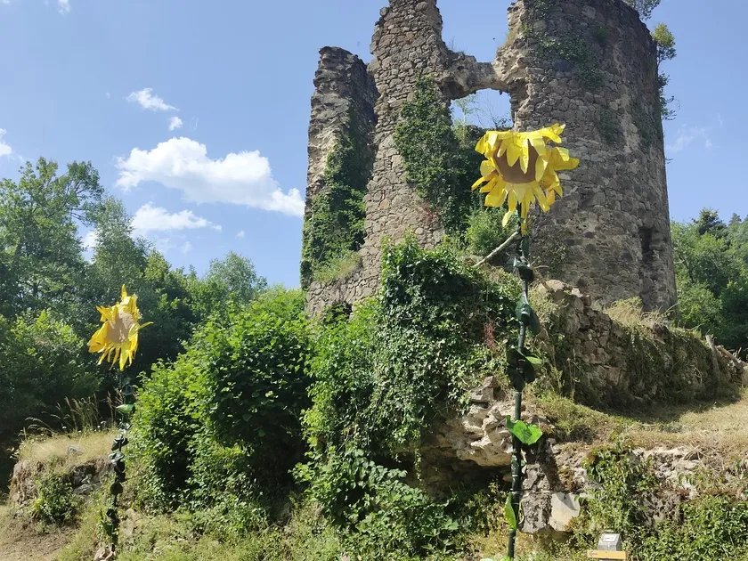 Installations artistiques dans les ruines de la Chartreuse Port-Sainte-Marie