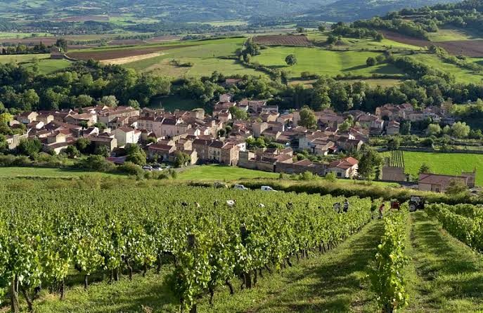 Boudes, cru rouge des Côtes d'Auvergne