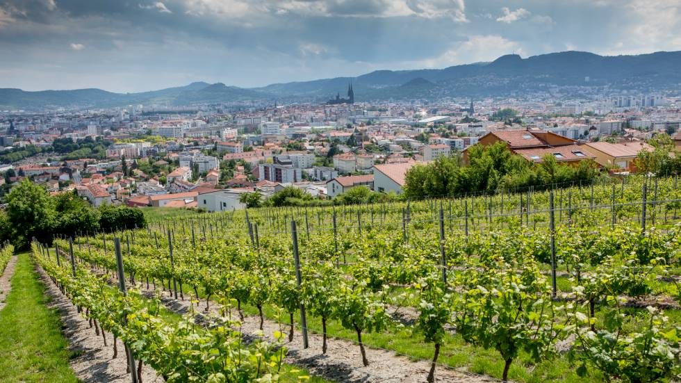 Chanturgue, le plus petit cru des Côtes d'Auvergne